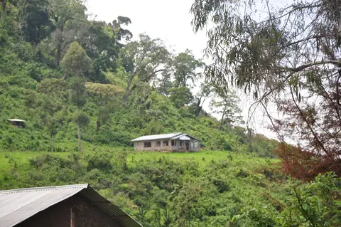 Gest house